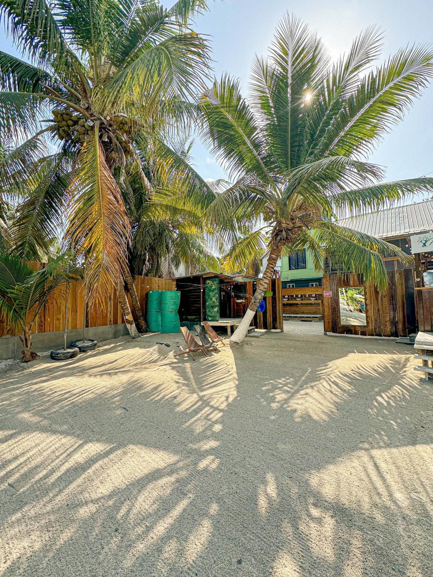 Bella'S Backpackers Hostel Caye Caulker Exterior foto